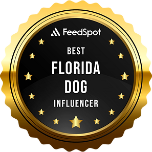 florida_dog_instagram_influencers.png