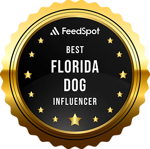florida_dog_instagram_influencers.png