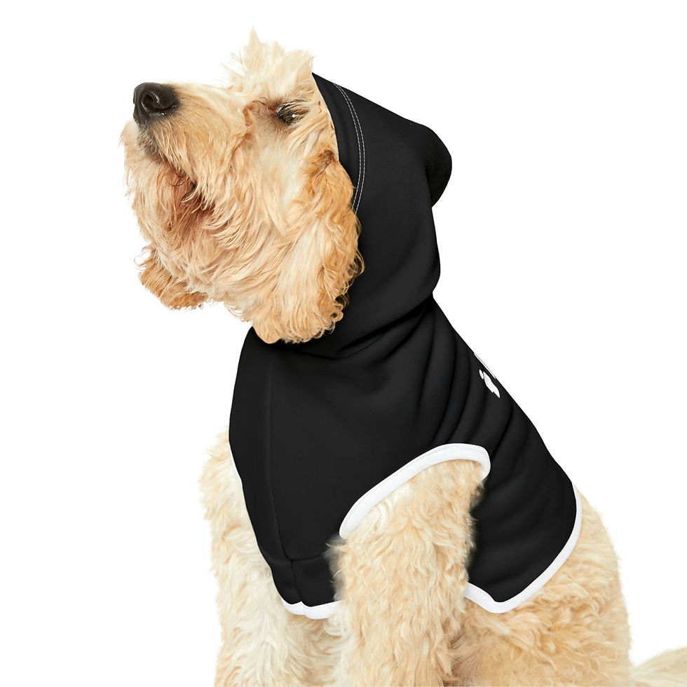 Thumbnail: Embrace Everyday Dog Hoodie