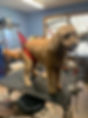 Image 6.jpeg