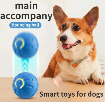 Thumbnail: Paws Play Smart Ball