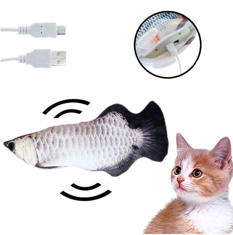 Thumbnail: Toy Electric Fish for Cat Entertainment