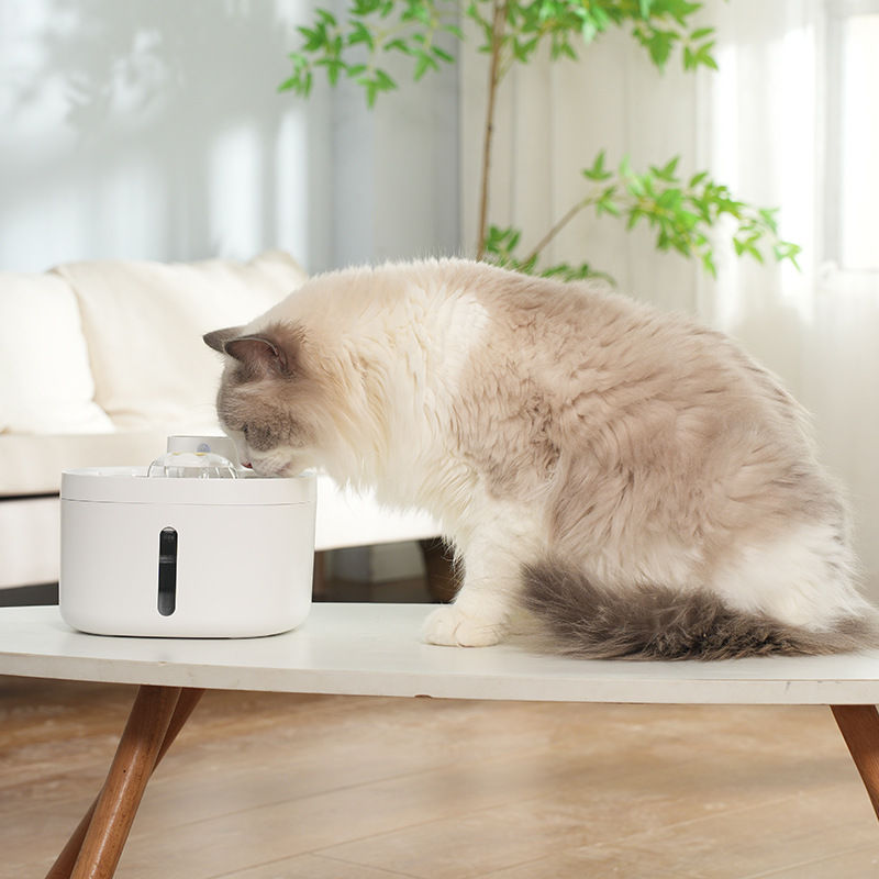 Miniatura: Smart Pet Wireless Water Dispenser with Stainless Steel Bowl