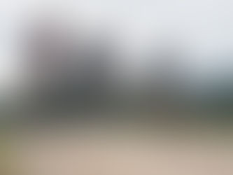 Hutchinson au cœur de la performance