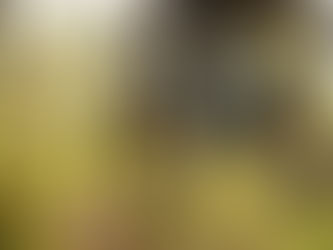 Shimano toujours guidé par les nouveautés