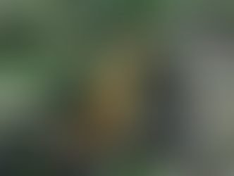 Bucefal Cycles Industries, nouvelle marque VTT haut de gamme