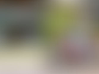 T-Bird vole de ses propres ailes