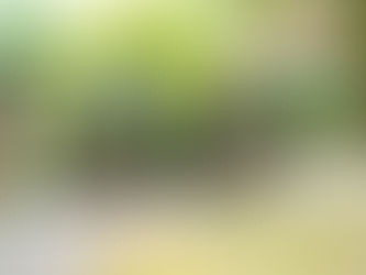 Reine Bike, le nouveau-venu en électrique connecté