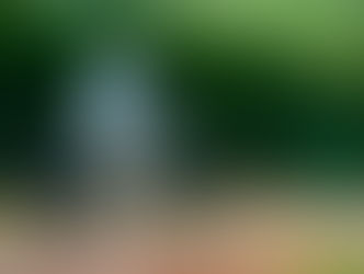 Sunn accélère le mouvement