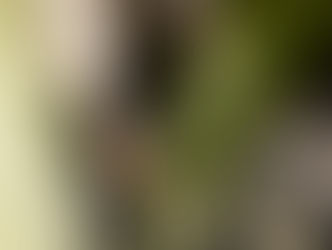 Bastille, une conquête européenne