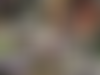 Coorep : coordonner les « éco-filières » du vélo