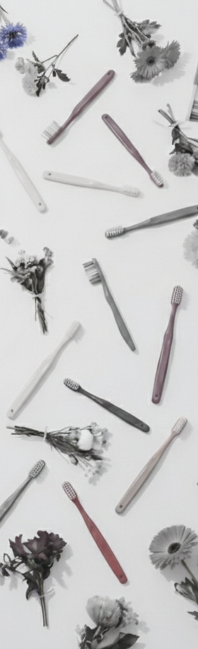 歯ブラシと歯磨き粉と花