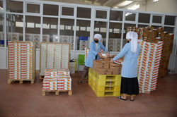 DRY_5417 - Kopya - Kopya