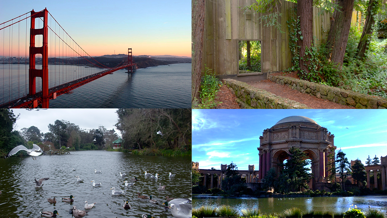 cover photo for the photography page.png