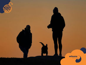 Silhouettes of two people and a dog on a hill at sunset. The sky is orange. Text reads "Wilsons Health" in the bottom-right corner.