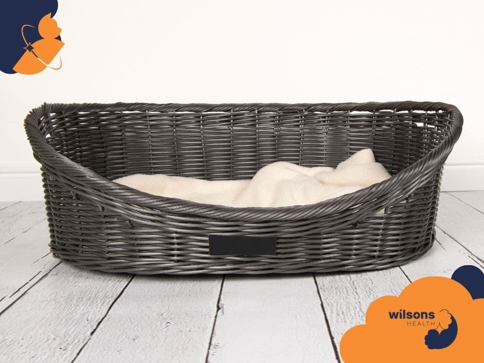 Dark gray wicker pet basket on white wooden floor, with a soft cream cushion inside. "Wilsons Health" logo in the corner.