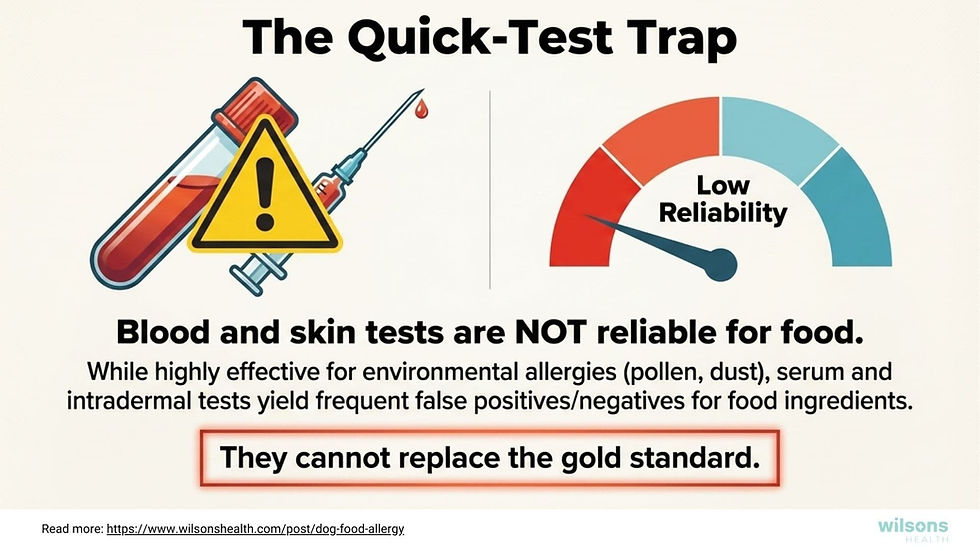 Illustration showing a test tube with a warning sign and needle, a gauge reading "Low Reliability," and text stating blood tests aren't reliable for food in dogs.