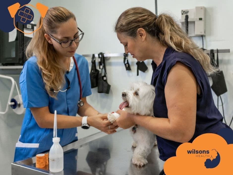 Vet examining a small white dog on a metal table. Woman holding dog. Vet wearing blue scrubs. Setting is a clinic. Text: Wilsons Health.