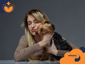 Blonde woman with tear-streaked face hugs small dog in brown sweater. Gray background. Logos and "wilsons health" text in corners convey sadness.
