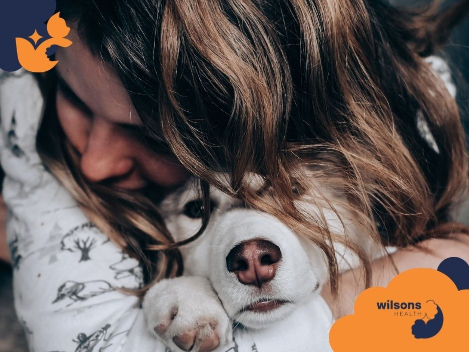 A person with brown hair embraces a white dog in a cozy setting. The dog appears content. "Wilsons Health" logo in the corner.