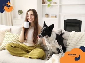 Woman smiling on a couch, holding a mug, next to a black and white dog. Cozy living room with green zigzag pillow. Wilsons Health logo.