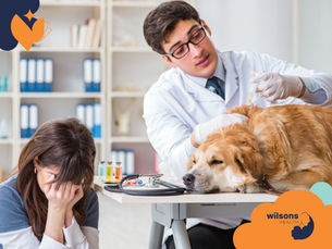 Veterinarian vaccinates a calm dog on a table. A worried woman sits nearby, head in hands. Shelves and medical tools in the background.