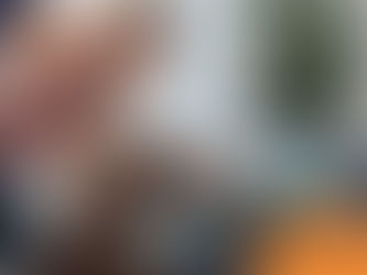 Man pointing at laptop screen, showing a 3D model to a gray dog in an office. "Wilsons Health" logo visible. Plant in the background.