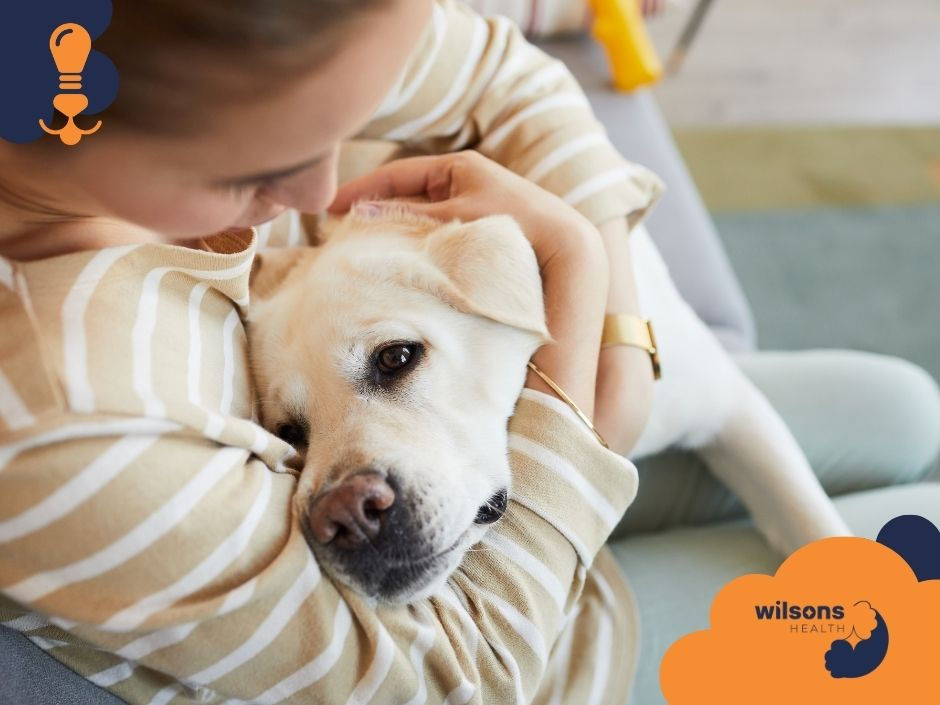 Person in striped sweater hugging a relaxed Labrador on a couch. Warm tones, cozy mood. Logo: "Wilsons Health" in corner.