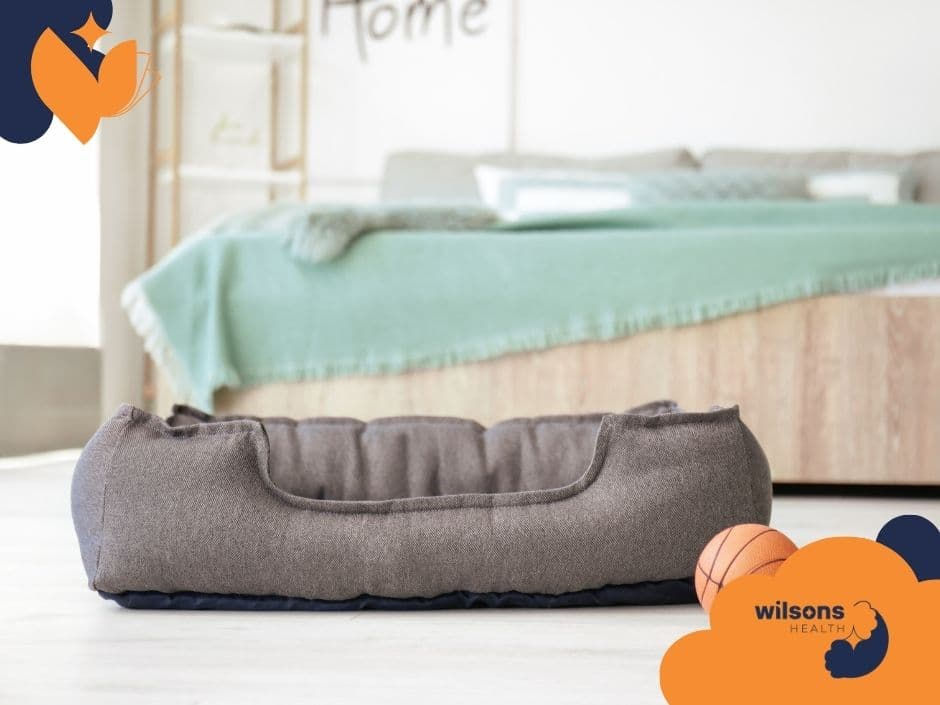 Gray pet bed on a light floor in a cozy room with a bed covered by a teal blanket. "Wilsons Health" logo in the corner.