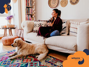 Woman in cozy living room on a white sofa holding a mug, with a golden retriever on a colorful rug. Decorative baskets on wall, "Wilsons Health" logo.