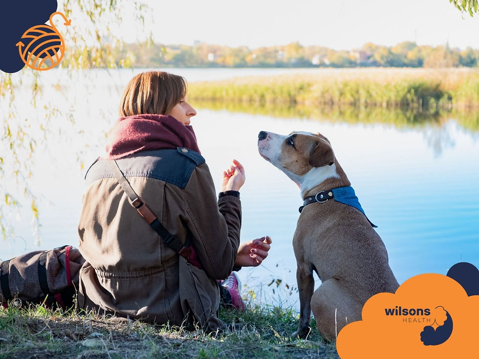A person and a dog sit by a lake, sharing a moment under a tree. The dog gazes up. Text reads "wilsons HEALTH" in orange and blue.