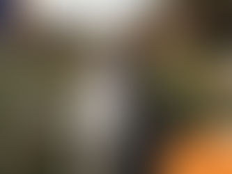 Dalmatian on leash walking on a grassy path with other dogs. Overcast sky, orange Wilsons Health logo in corner, calm mood.