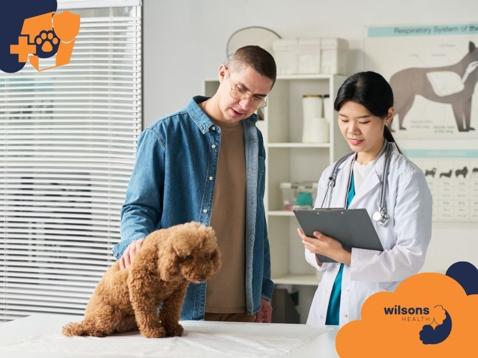 Man with a curly brown dog on a vet's exam table, female veterinarian holding clipboard. Clinic background, Wilsons Health logo visible.