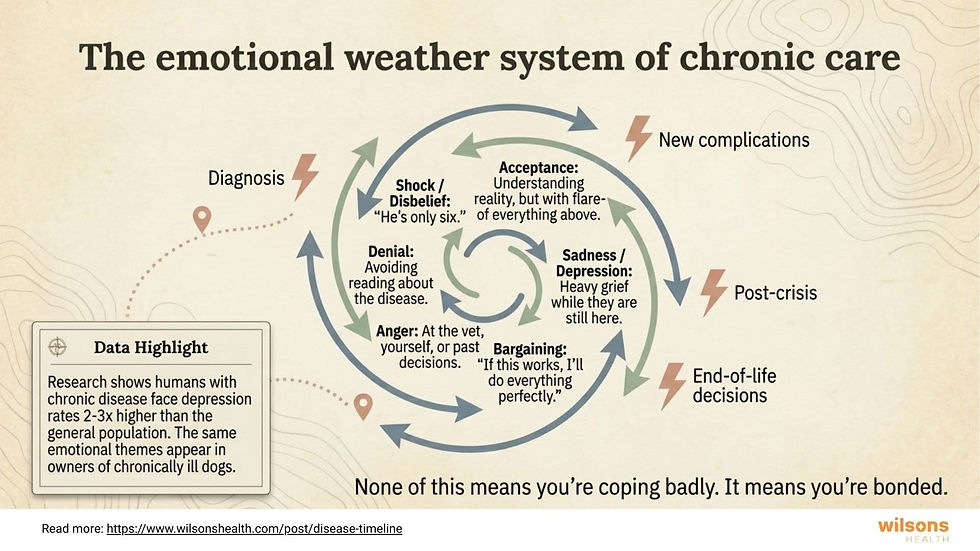 Flowchart titled "The emotional weather system of chronic care" shows stages: Shock, Denial, Anger, Bargaining, Depression, Acceptance for owners of chronically ill dogs.