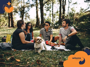Four friends and a dog on a picnic, smiling with red cups in hand. Sunny day under trees. Text: Wilsons Health. Relaxed, joyful mood.