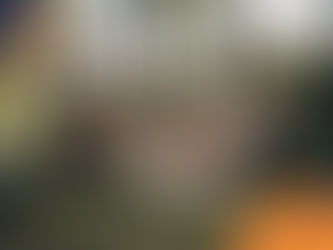 Four friends and a dog on a picnic, smiling with red cups in hand. Sunny day under trees. Text: Wilsons Health. Relaxed, joyful mood.