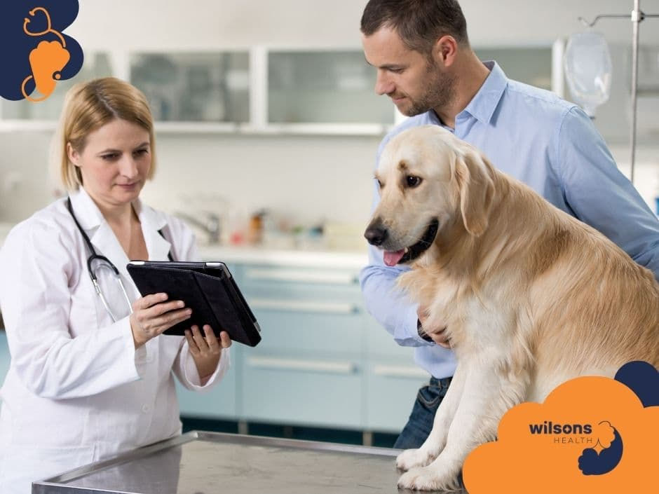 Veterinarian with tablet consults man holding a golden retriever on exam table. Vet clinic setting, logos in corners, calm mood.