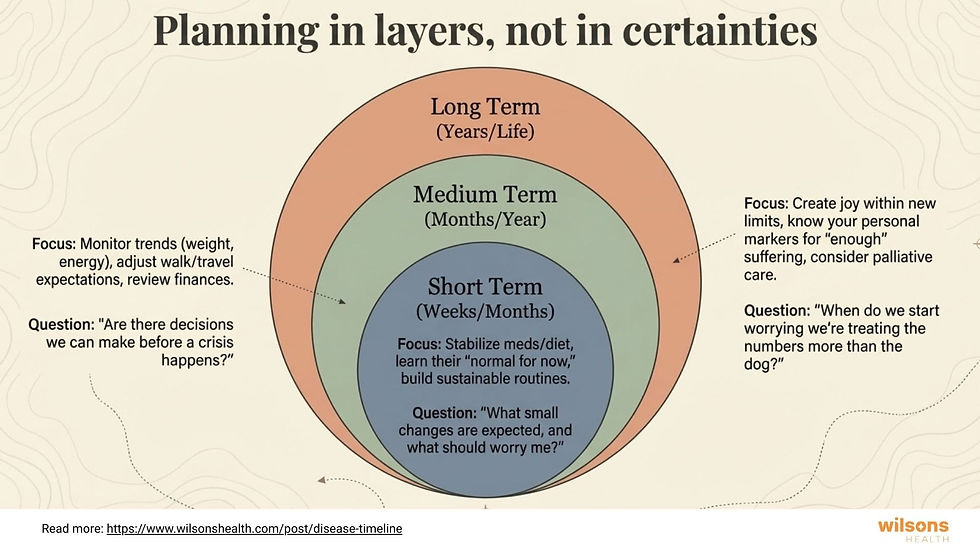 Diagram of layered circles showing planning timelines for chronically ill dogs and their owners: Short (Weeks/Months), Medium (Months/Year), and Long Term (Years/Life) with focus points.