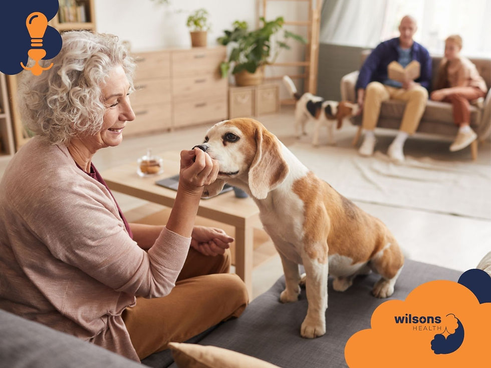 Elderly woman feeds a beagle on a sofa, smiling. In the background, a man and child sit on another sofa with a second beagle. Cozy room. Wilsons Health logo visible.