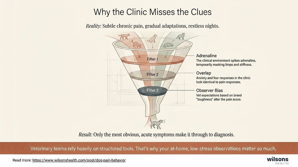 Diagram titled "Why the Clinic Misses the Clues" shows a funnel with filters affecting veterinary diagnosis. Includes text on adrenaline, overlap, observer bias.