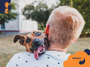 A happy dog with tongue out on a person's shoulder in a park. The person wears a polka-dot shirt. Logo text: wilsons HEALTH.