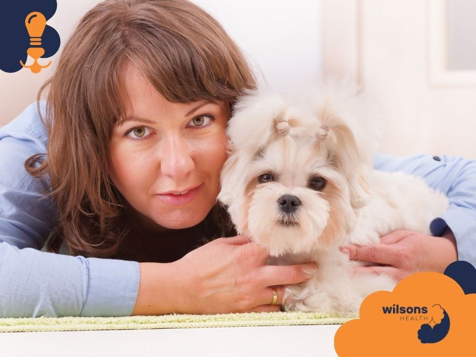 Woman in blue hugs a fluffy white dog with hair tied up, lying on a green surface. Logo reads "wilsons health." Calm mood.