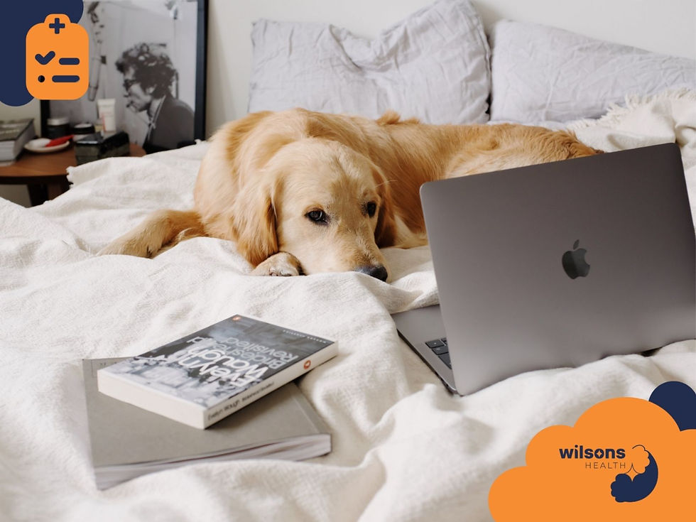 Golden retriever lounges on a bed beside a laptop and books. Background features a monochrome photo. Wilsons Health logo visible. Cozy mood.