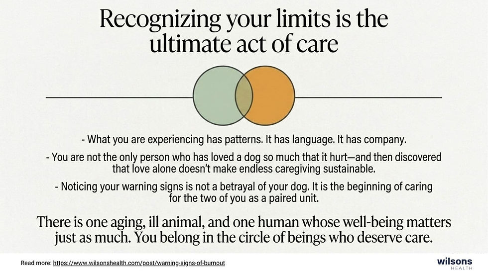 Overlapping circles with text about recognizing caregiving limits. Encouraging reflection and self-care in caring for a chronically ill dog. Wilsons Health logo at bottom.