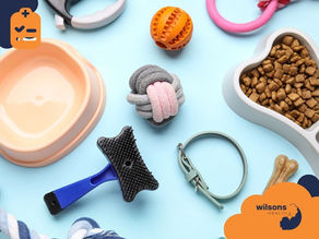Pet accessories on light blue background: orange ball, pink rope, heart-shaped bowl with kibble, brush, collar, and toys. Wilsons Health logo.