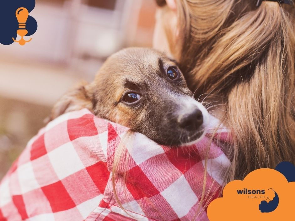 A puppy rests on a person's shoulder in a red plaid shirt, looking content. "Wilsons Health" logo is visible. Soft, warm outdoor setting.