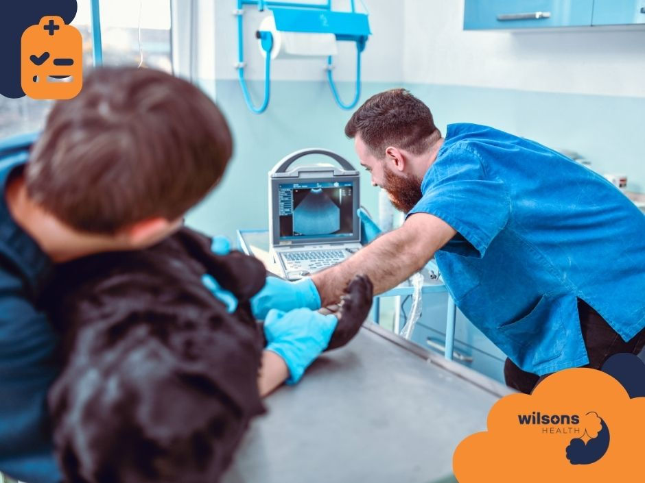 Vet examines a dog with ultrasound as an assistant holds it. Setting is a clinic with blue cabinets. Wilsons Health logo visible.