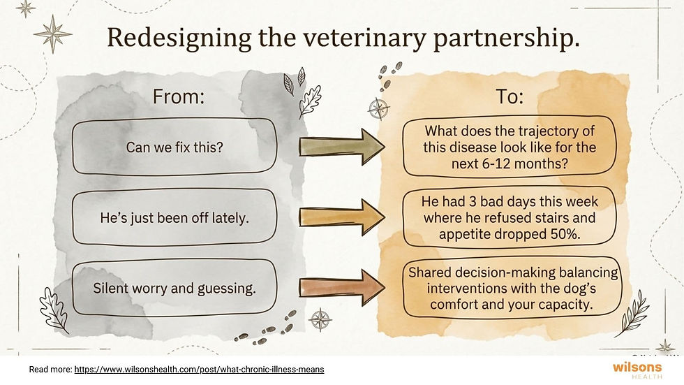 Diagram compares old and new veterinary approaches. Arrows link grey (old) to brown (new) with revised questions and strategies. More concrete facts about the dog's state and shared decision-making helps.