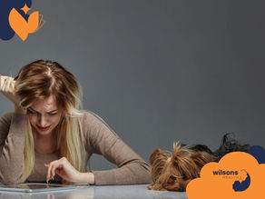 Woman looking stressed at a tablet, sitting next to a small, resting dog on a gray background. "Wilsons Health" logo visible.