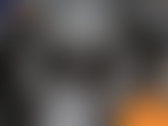 Close-up of a black dog's eyes and fur. Logos with dog icon and text "Wilsons Health" in the corners. Bright and focused.